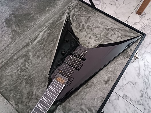 ESP Elektro Gitar