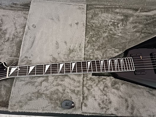 ESP Elektro Gitar