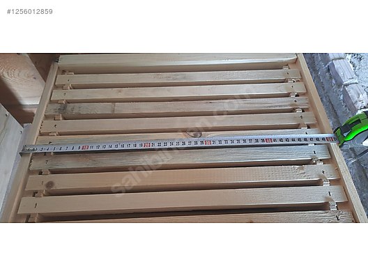 Hayvanlar Alemi / Böcekler / Arı