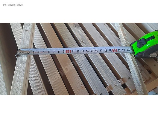 Hayvanlar Alemi / Böcekler / Arı