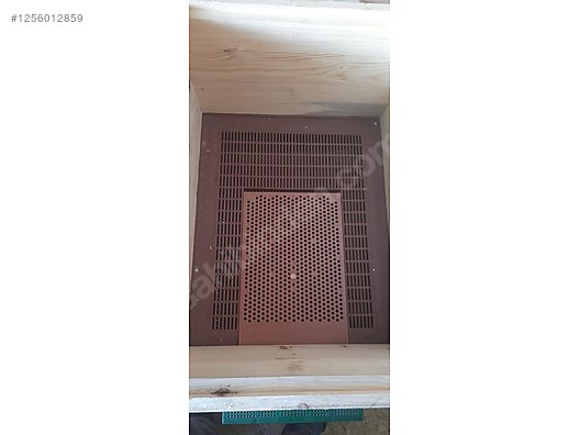 Hayvanlar Alemi / Böcekler / Arı