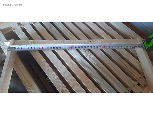 Hayvanlar Alemi / Böcekler / Arı