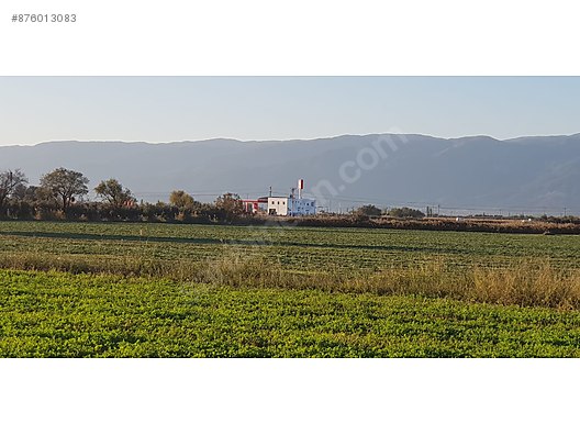 burhaniyede acil satilik tarla satilik arsa ilanlari sahibinden com da 876013083