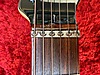 Fender Elektro Gitar