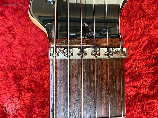 Fender Elektro Gitar