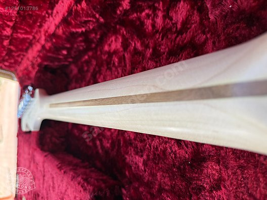 Fender Elektro Gitar