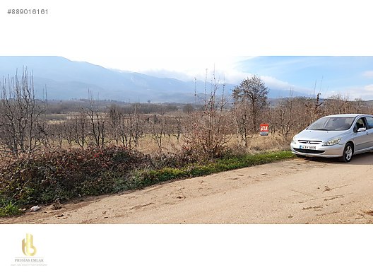 Prusias Gayrimenkul Den Bursa Kestel Kozluoren Koyunde Tarla At Sahibinden Com 889016161