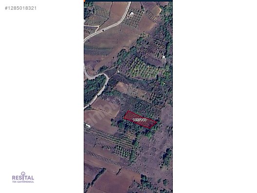 BURSA YENİŞEHİR SÜLAYMENİYE YELLİCE DE SATILIK VERİMLİ TARLA