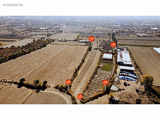 SATILIK DOĞALGAZLI ÇİFTLİK #1285020749