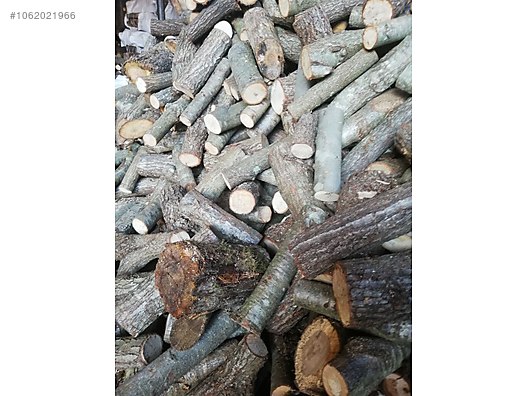 İkinci El ve Sıfır Alışveriş / Bahçe & Yapı Market / Yapı Malzemeleri / Hırdavat & Nalburiye / Orman Ürünleri