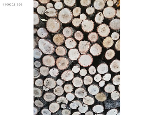 Odun - Orman Ürünleri