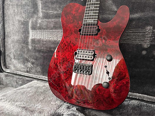 Schecter Elektro Gitar - 1291022649
