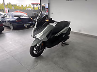 2025 model Honda forza hatasız #1280022956