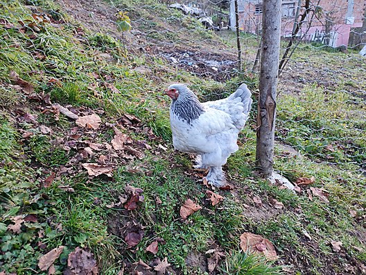 Dzedr7kzj M57m Dzedr7kzj M57m