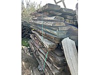 Kestane ağacı 1. Sınıf budaksız