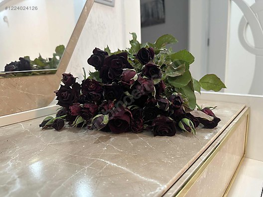 İkinci El ve Sıfır Alışveriş / Bahçe & Yapı Market / Bahçe / Bitki & Çiçek / Çiçekli Bitki