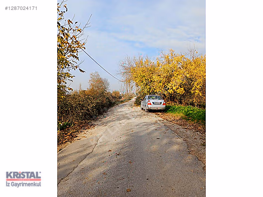 KRİSTAL İZ'DEN HASANAĞA'DA HOBİ BAHÇESİ #1287024171