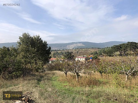 izmir bayindir cinardibi mahallesinde satilik tarla satilik arsa ilanlari sahibinden com da 970024242 izmir bayindir cinardibi mahallesinde satilik tarla satilik arsa ilanlari sahibinden com da 970024242