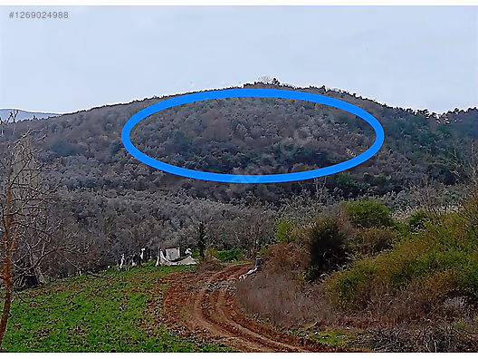 Ercan Aygün insaat emlaktan Bursa Orhangazi Karsak'ta acil tarla #1269024988