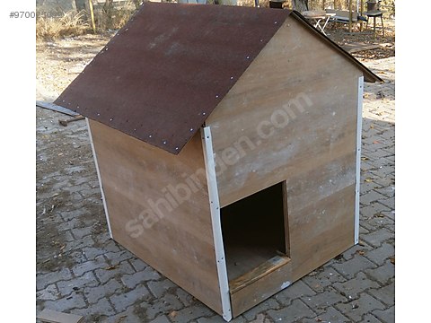 Kopek Kulubesi Sahibinden Comda 970025099