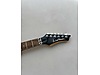 Washburn Elektro Gitar