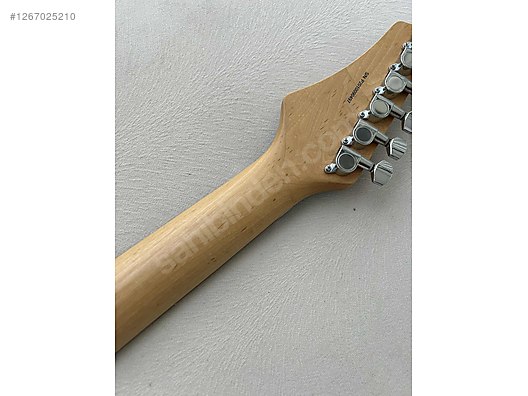 Washburn Elektro Gitar