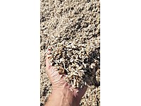 Yeni Sezon 50 kg lik Çift paket Pancar Küspesi #872025443