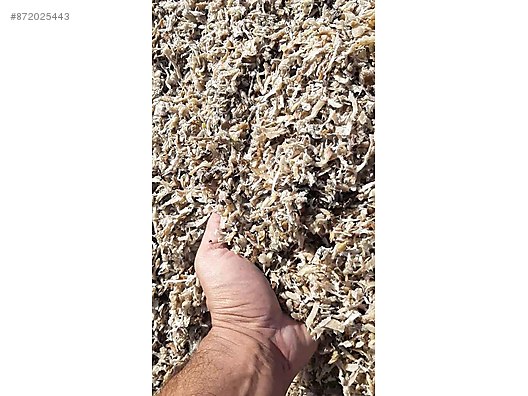 Pets & Livestock / Foods & Feeds / Small & Large Livestock / Feed