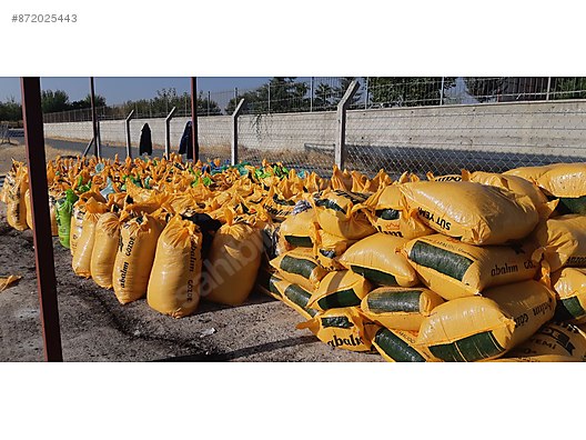 Pets & Livestock / Foods & Feeds / Small & Large Livestock / Feed