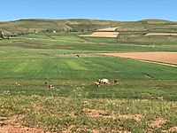 bayburt satilik arsa ilanlari ve fiyatlari sahibinden com da