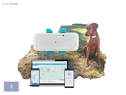 İkinci El ve Sıfır Alışveriş / Spor / Doğa Sporları / Kampçılık & Outdoor / Yön Bulma Malzemeleri