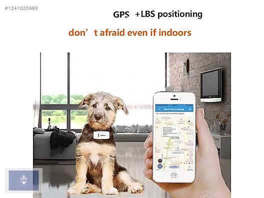 İkinci El ve Sıfır Alışveriş / Spor / Doğa Sporları / Kampçılık & Outdoor / Yön Bulma Malzemeleri