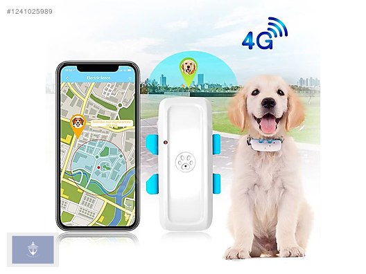 İkinci El ve Sıfır Alışveriş / Spor / Doğa Sporları / Kampçılık & Outdoor / Yön Bulma Malzemeleri