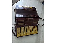 tenora akordiyon