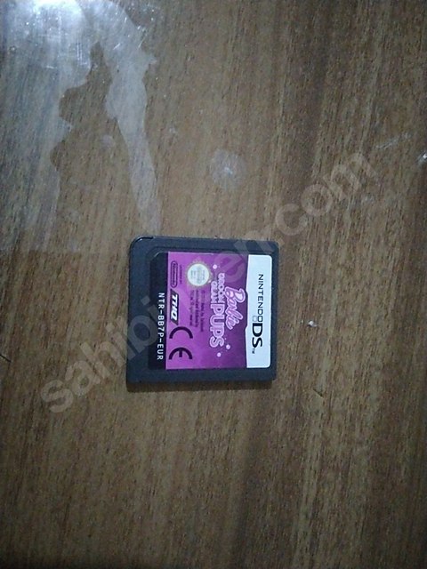 Nintendo DS Barbie groom and glam pups oyun