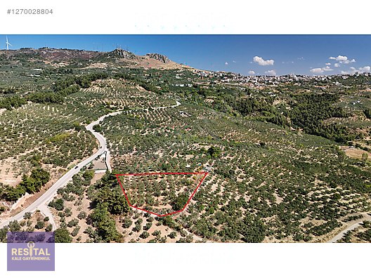 BURSA / GÜNDOĞDU MUHTEŞEM 2410 M2 TARLA