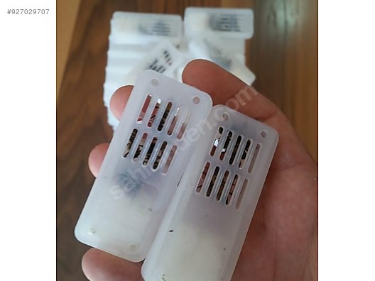 Hayvanlar Alemi / Böcekler / Arı