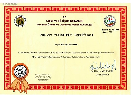 Hayvanlar Alemi / Böcekler / Arı