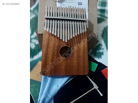 Muziker kalimba 2024