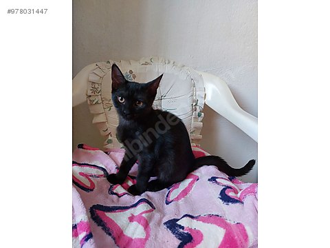 Gkqvinueqy 00m Gkqvinueqy 00m