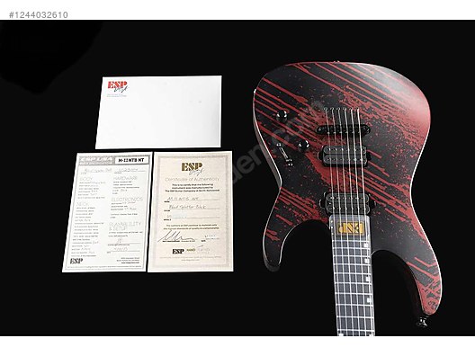 ESP Elektro Gitar