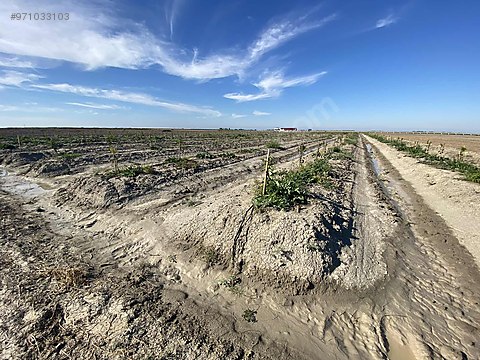 sevsinlerden karatas yoluna cok yakin yatirimlik w morcot satilik arsa ilanlari sahibinden com da 971033103