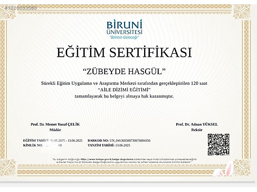 Yaşam Koçu.. Aile Dizim ve Thetahealing Uygulayıcısı