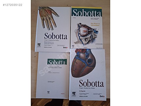 Sobotta Rbara sobotta 4 lü set sahibinden.comda - 1272035122