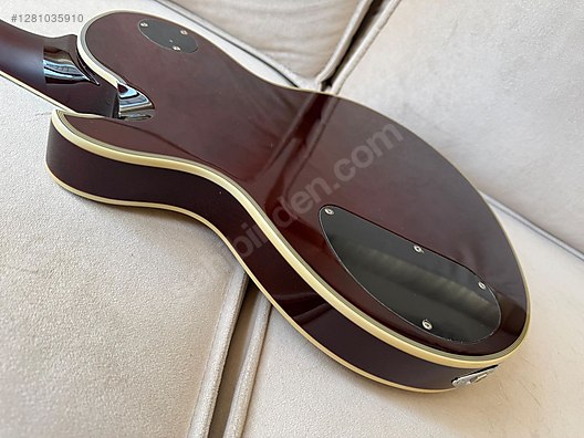 Schecter Elektro Gitar