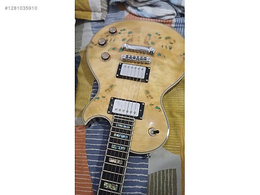 Schecter Elektro Gitar