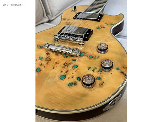 Schecter Elektro Gitar