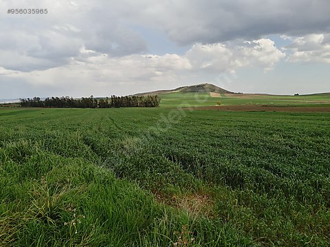 kozan in en gozde yeri bagtepe yol sapagi mevki ana yol kenari satilik arsa ilanlari sahibinden com da 956035965