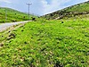 TORTUM TAŞBAŞINDA ANA YOLA 3 DK GES VE ARICILIĞA UYGUN 5 DÖNÜM - Taşbaşı Emlak küçük 8
