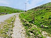 TORTUM TAŞBAŞINDA ANA YOLA 3 DK GES VE ARICILIĞA UYGUN 5 DÖNÜM - Taşbaşı Emlak küçük 4